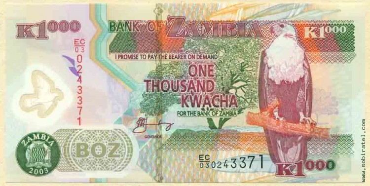 Замбия 2003, 1 000 квача.