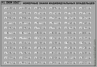DKM1067 Набор декалей Номерные знаки индивидуальных владельцев Ленинградская область (100x70 мм)
