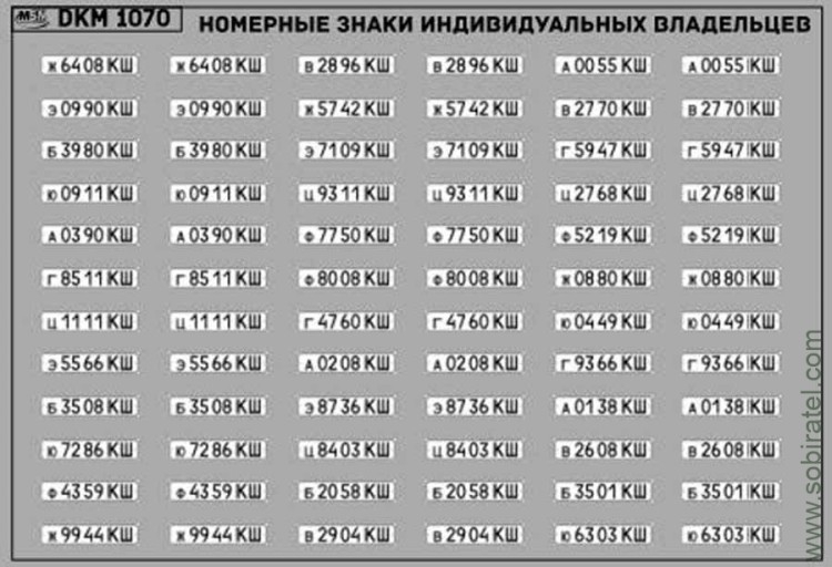 DKM1070 Набор декалей Номерные знаки индивидуальных владельцев Куйбышевская область (100x70 мм)