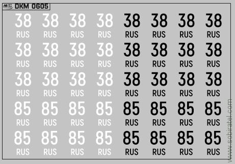 DKM0605 Набор декалей Дублирующие знаки России - регион 38, 85 - Иркутская область (100x70 мм)