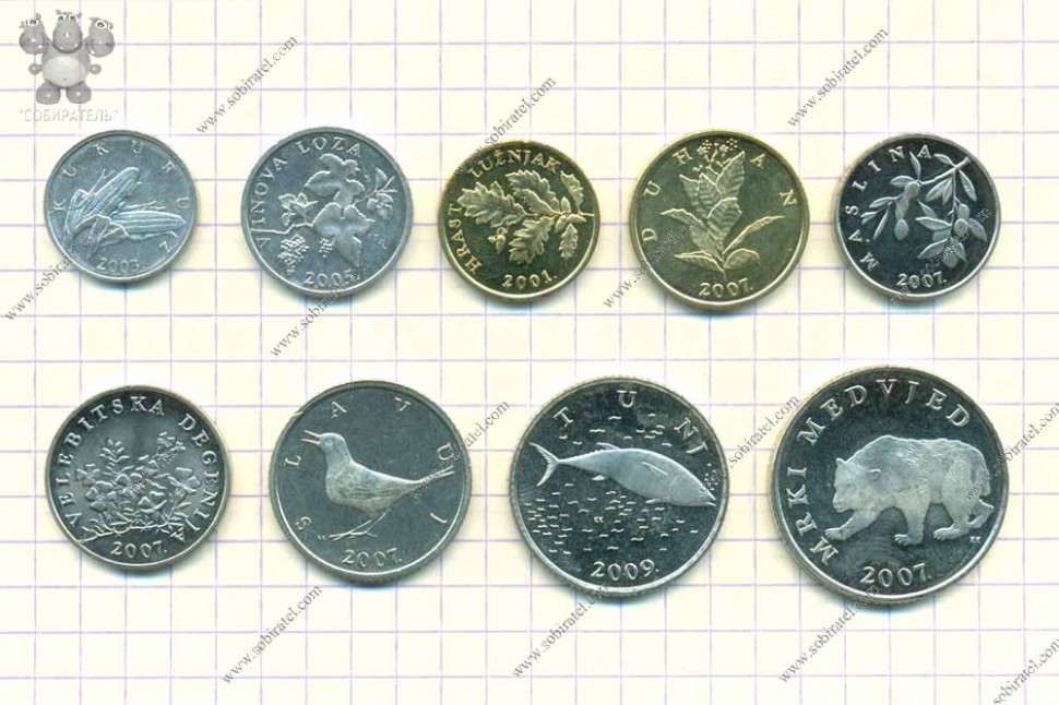 9 монет карта дня