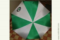 зонт "Skoda Auto" бело-зеленый автомат