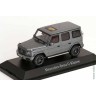 Mercedes-Benz G-Klasse G 500 AMG Line (W465) 2024 platinum magno
