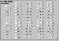 DKM0458 Набор декалей Номерные знаки России - регион 30 - Астраханская область (100x70 мм)