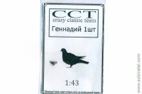 CT-R003 фигурка голубя "Геннадий", 1 шт. 