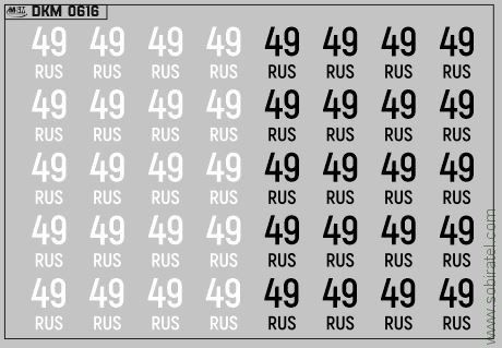 DKM0616 Набор декалей Дублирующие знаки России - регион 49 - Магаданская область (100x70 мм)