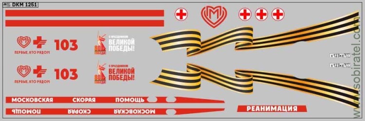 DKM1251 Набор декалей для некст Скорая помощь, вариант 13 (200x70 мм)