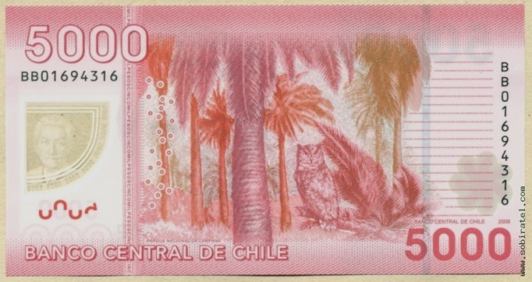 Чили 2009, 5000 песо.
