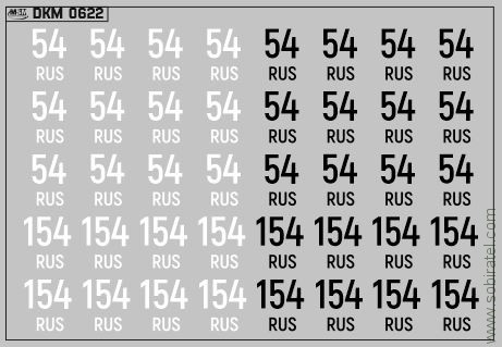 DKM0622 Набор декалей Дублирующие знаки России - регион 54, 154 - Новосибирская область (100x70 мм)