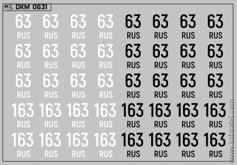 DKM0631 Набор декалей Дублирующие знаки России - регион 63, 163 - Самарская область (100x70 мм)