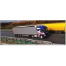 DKM0981 Набор декалей Камский грузовик 54901 A’DVA Trucking, вариант 2 (200x70 мм)