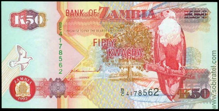 Замбия 1992, 50 квача
