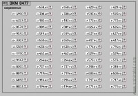 DKM0477 Набор декалей Номерные знаки России - регион 49 - Магаданская область (100x70 мм)