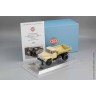 Автомобиль самосвал ММЗ-555, Астрахань ДСТ №1 - 1966 г. (DiP 1:43)