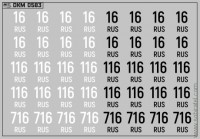 DKM0583 Набор декалей Дублирующие знаки России - регион 16, 116, 716 - Республика Татарстан (100x70 мм)